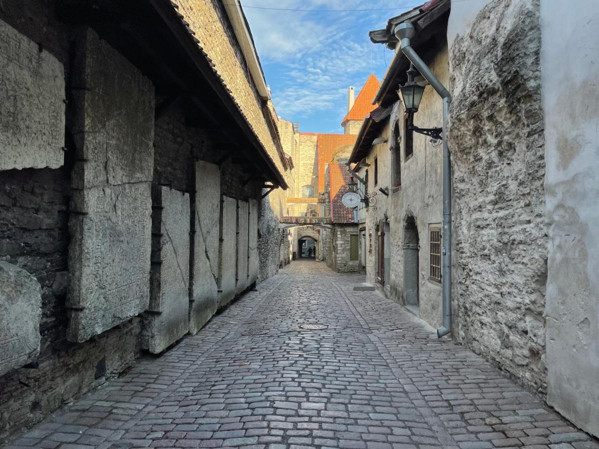 Old Town - Vene Apartment Tallin Zewnętrze zdjęcie